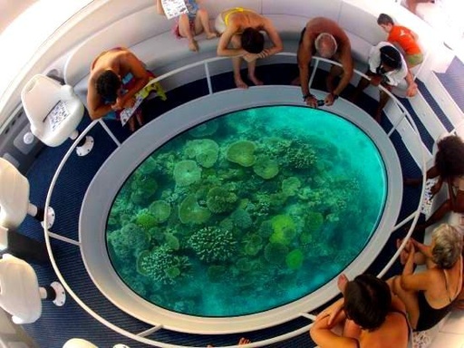 Paseo en Barco con Fondo de Cristal
